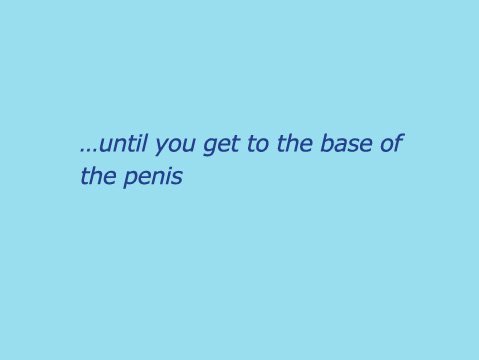 top_15